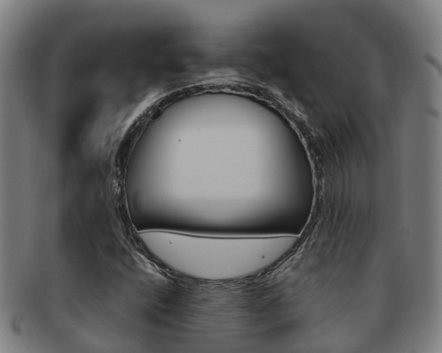 X0000092071400200709121016