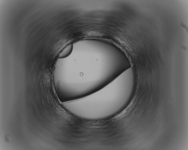 X0000092071401200709121016