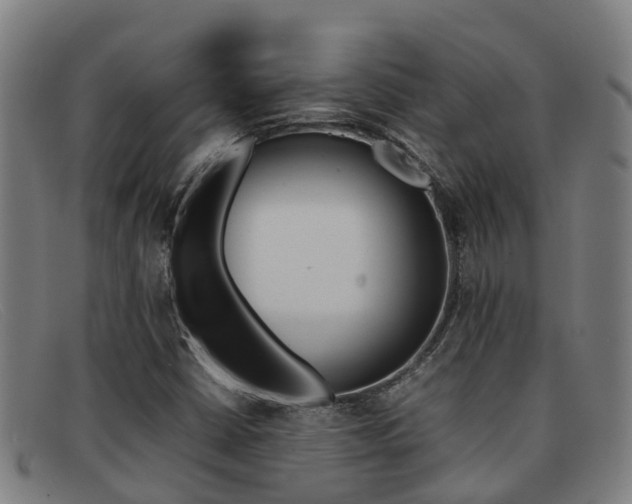 X0000092071402200709121016