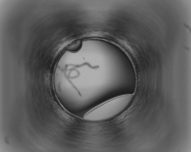 X0000092071404200709121017