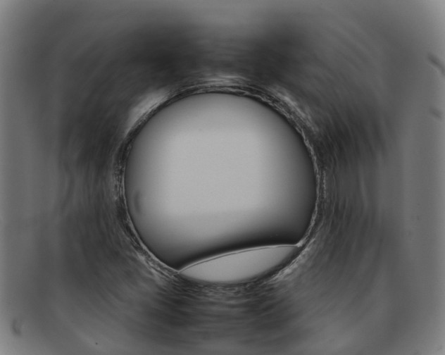 X0000092071405200709121017