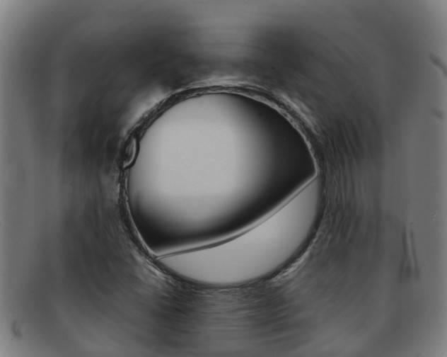 X0000092071406200709121017