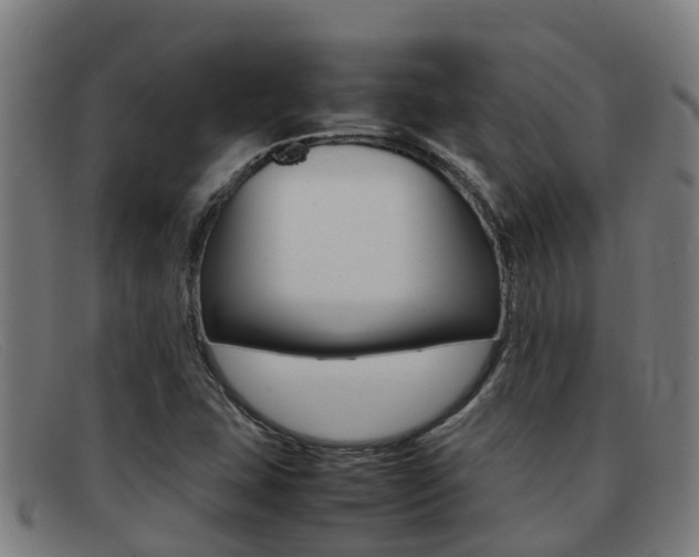 X0000092071407200709121017