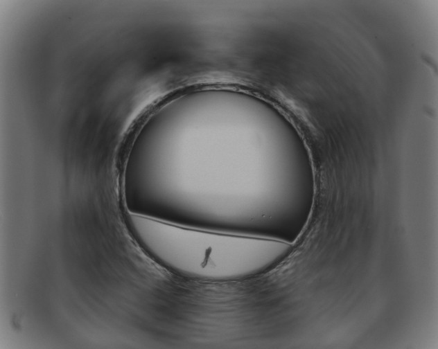 X0000092071408200709121017