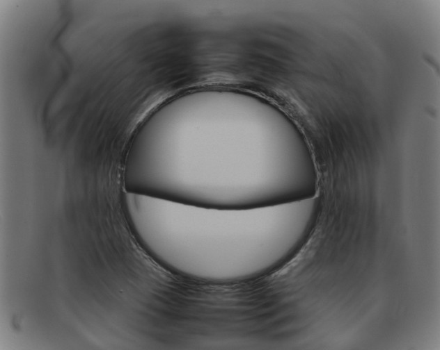 X0000092071409200709121017