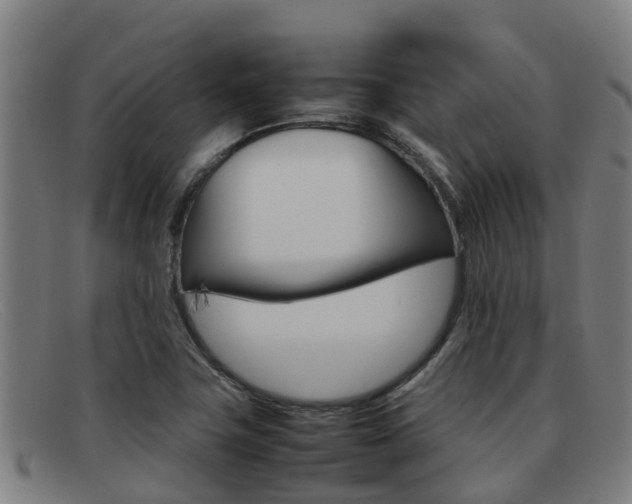 X0000092071411200709121017