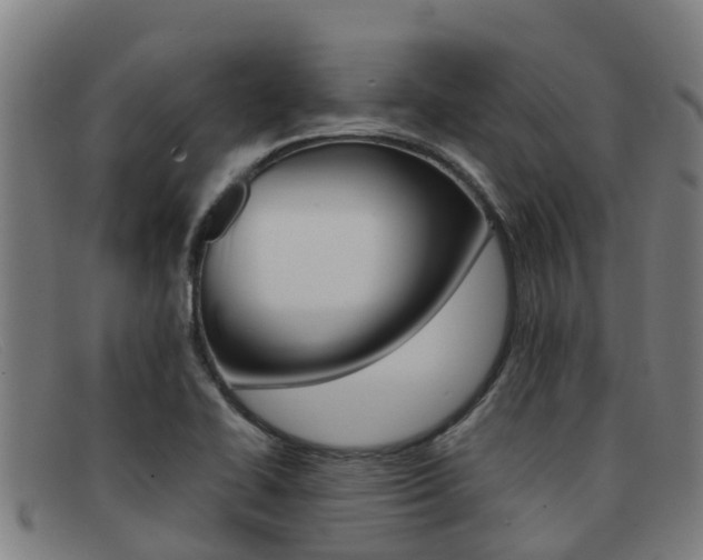 X0000092071414200709121017