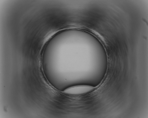 X0000092071415200709121017