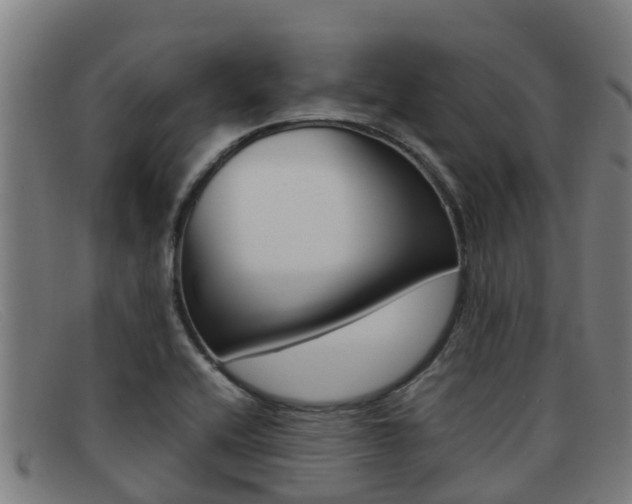 X0000092071416200709121017