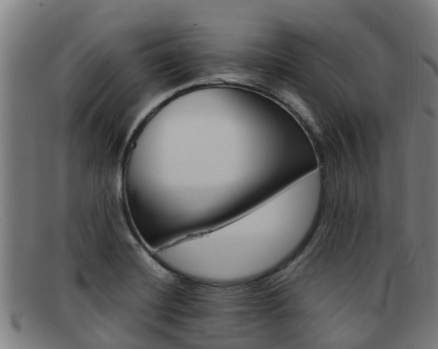 X0000092071420200709121017