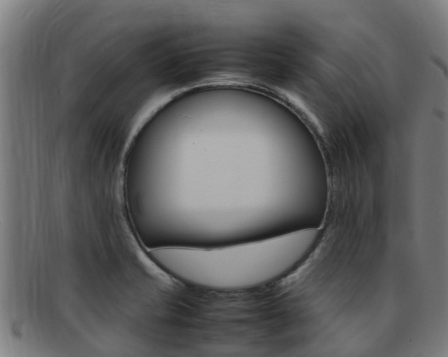 X0000092071421200709121017