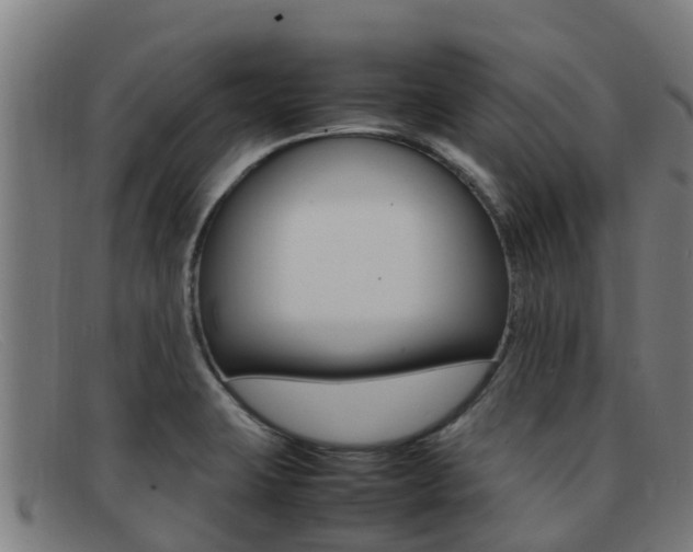 X0000092071423200709121017