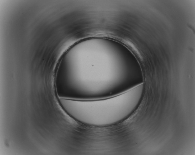 X0000092071424200709121017