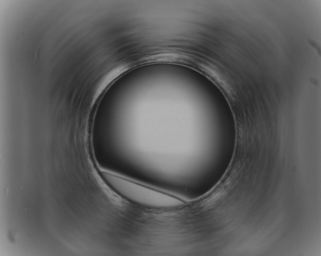 X0000092071426200709121017