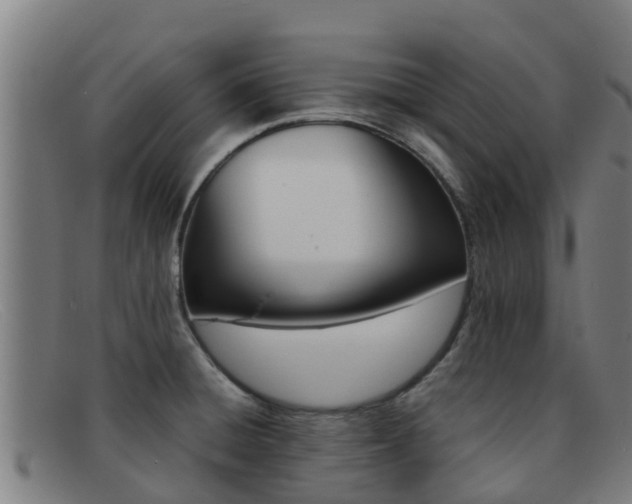 X0000092071428200709121017