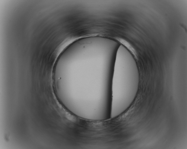 X0000092071431200709121017