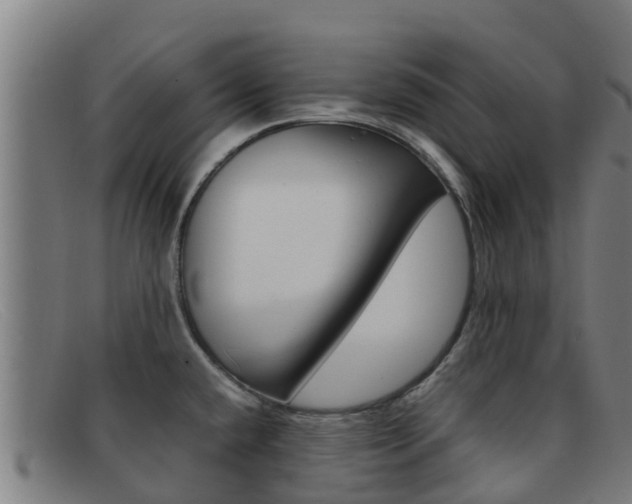 X0000092071432200709121017