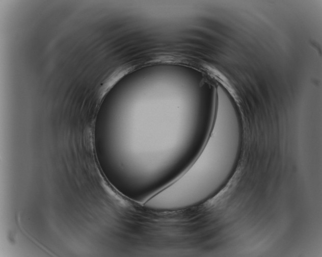 X0000092071433200709121017
