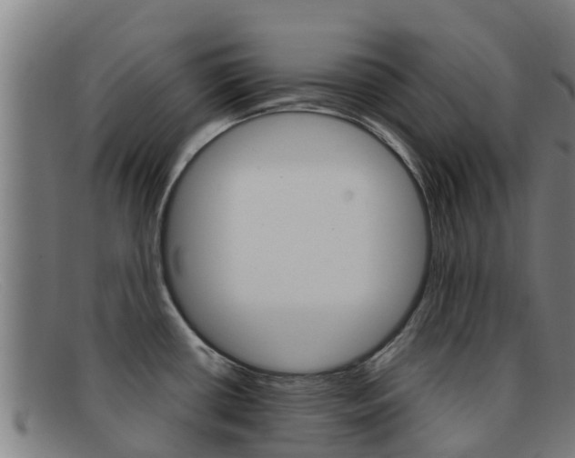 X0000092071434200709121017