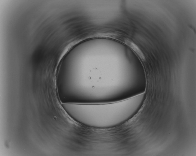 X0000092071436200709121017