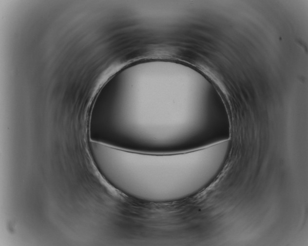 X0000092071437200709121017