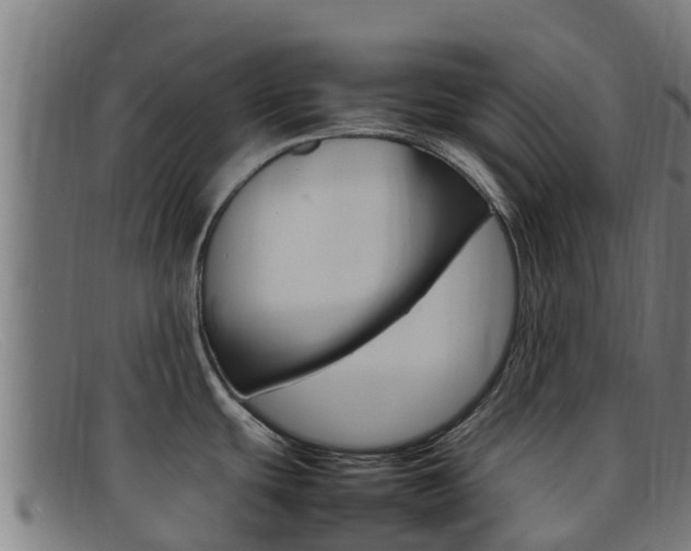 X0000092071439200709121017