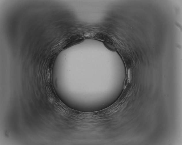 X0000092071443200709121016