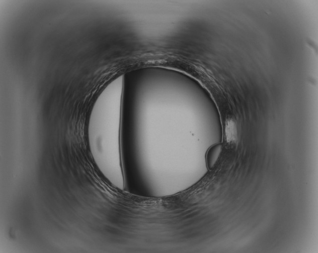 X0000092071444200709121016