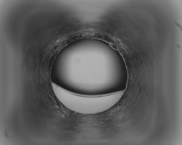 X0000092071445200709121016