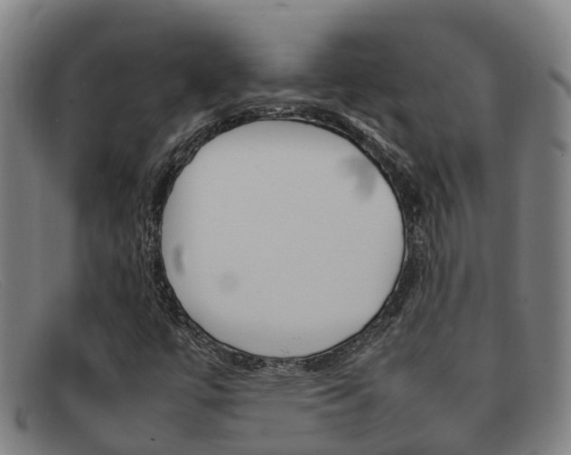 X0000092071447200709121016