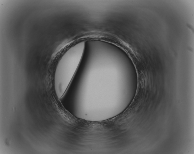 X0000092071448200709121016