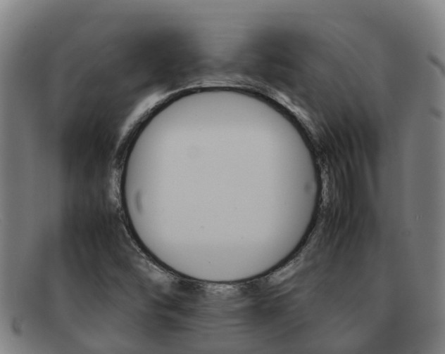 X0000092071454200709121016