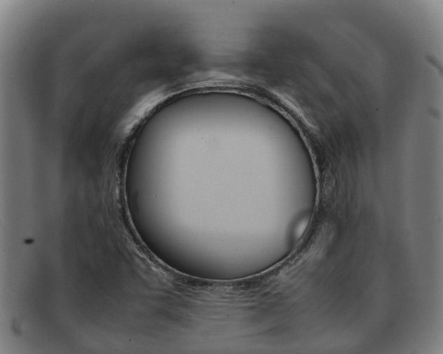 X0000092071455200709121016