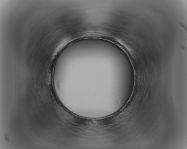 X0000092071459200709121016