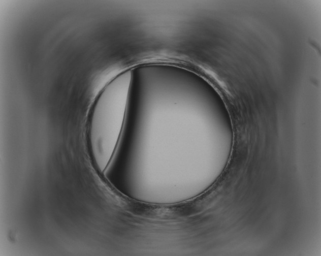 X0000092071463200709121016
