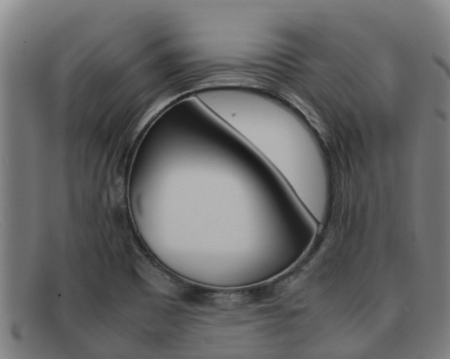 X0000092071465200709121016