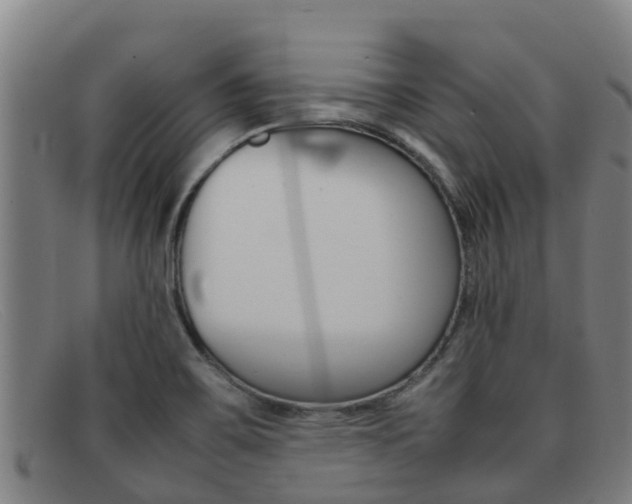 X0000092071467200709121016