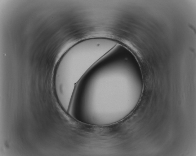 X0000092071469200709121016