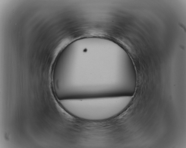 X0000092071471200709121016