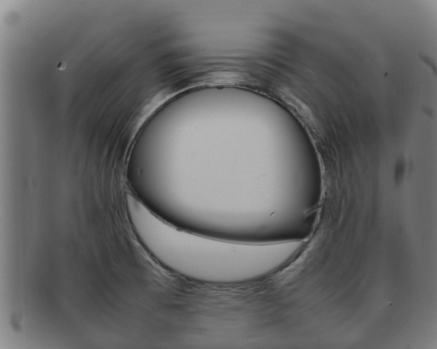 X0000092071473200709121016