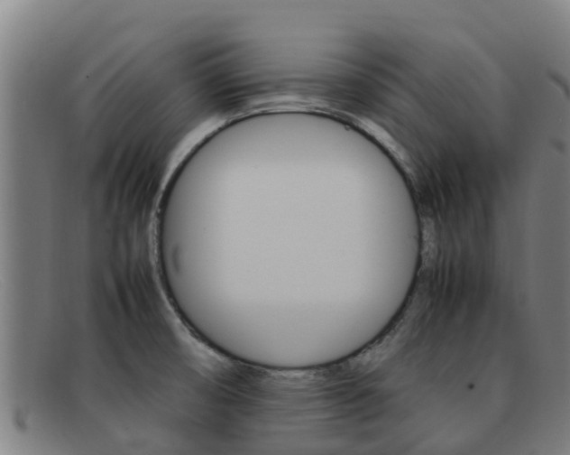 X0000092071474200709121016
