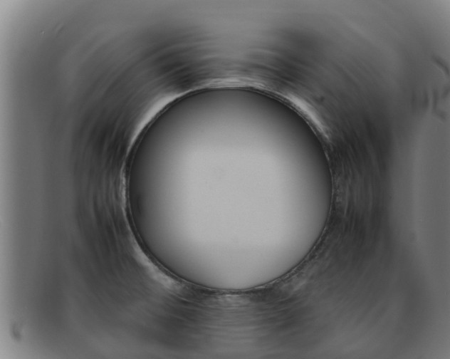 X0000092071476200709121016