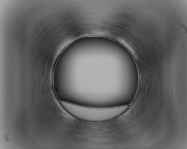 X0000092071477200709121016