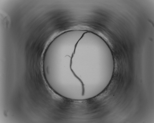 X0000092071478200709121016