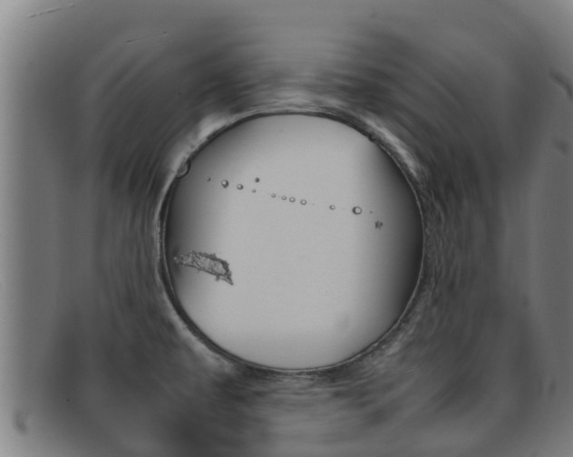 X0000092071479200709121016