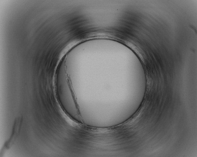 X0000092071482200709121016