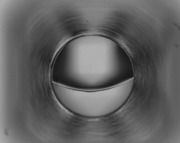 X0000092071484200709121016