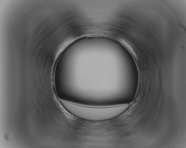 X0000092071485200709121016