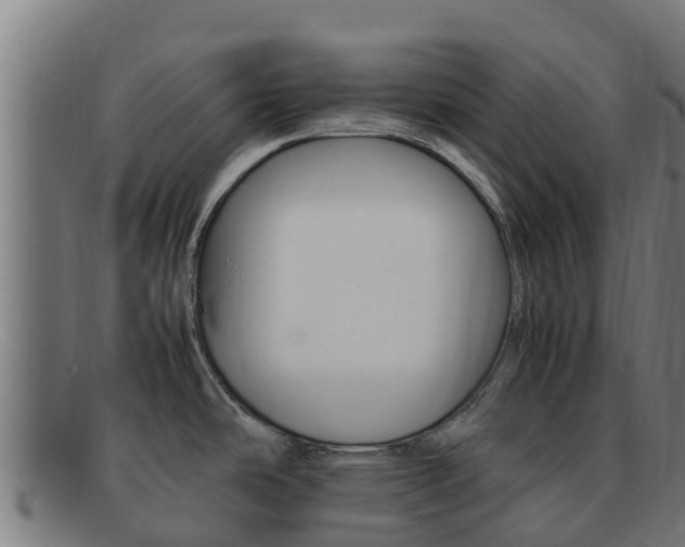 X0000092071486200709121016