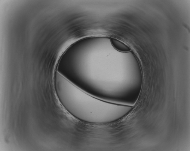 X0000092071488200709121016